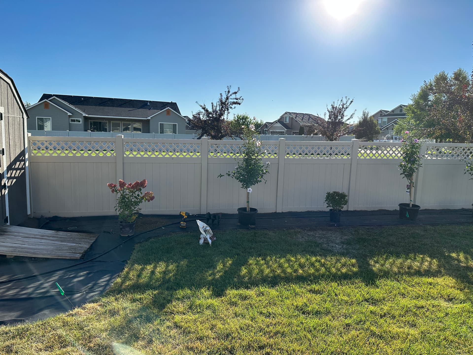 Lush Backyard Makeover with Brother Bear Lawn Care image