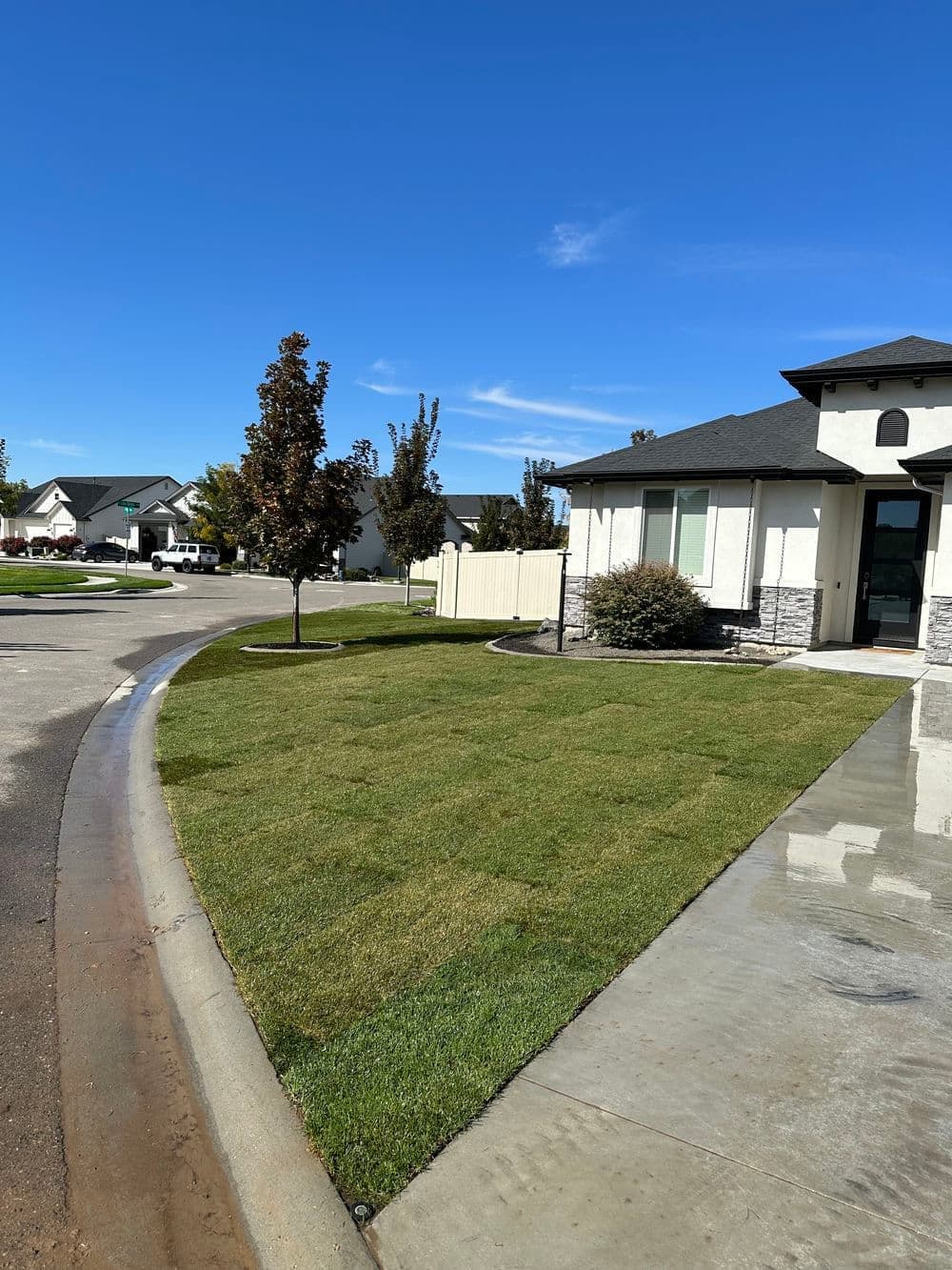 Gallery photos for Expert Lawn Transformation in Nampa ID: Image #5
